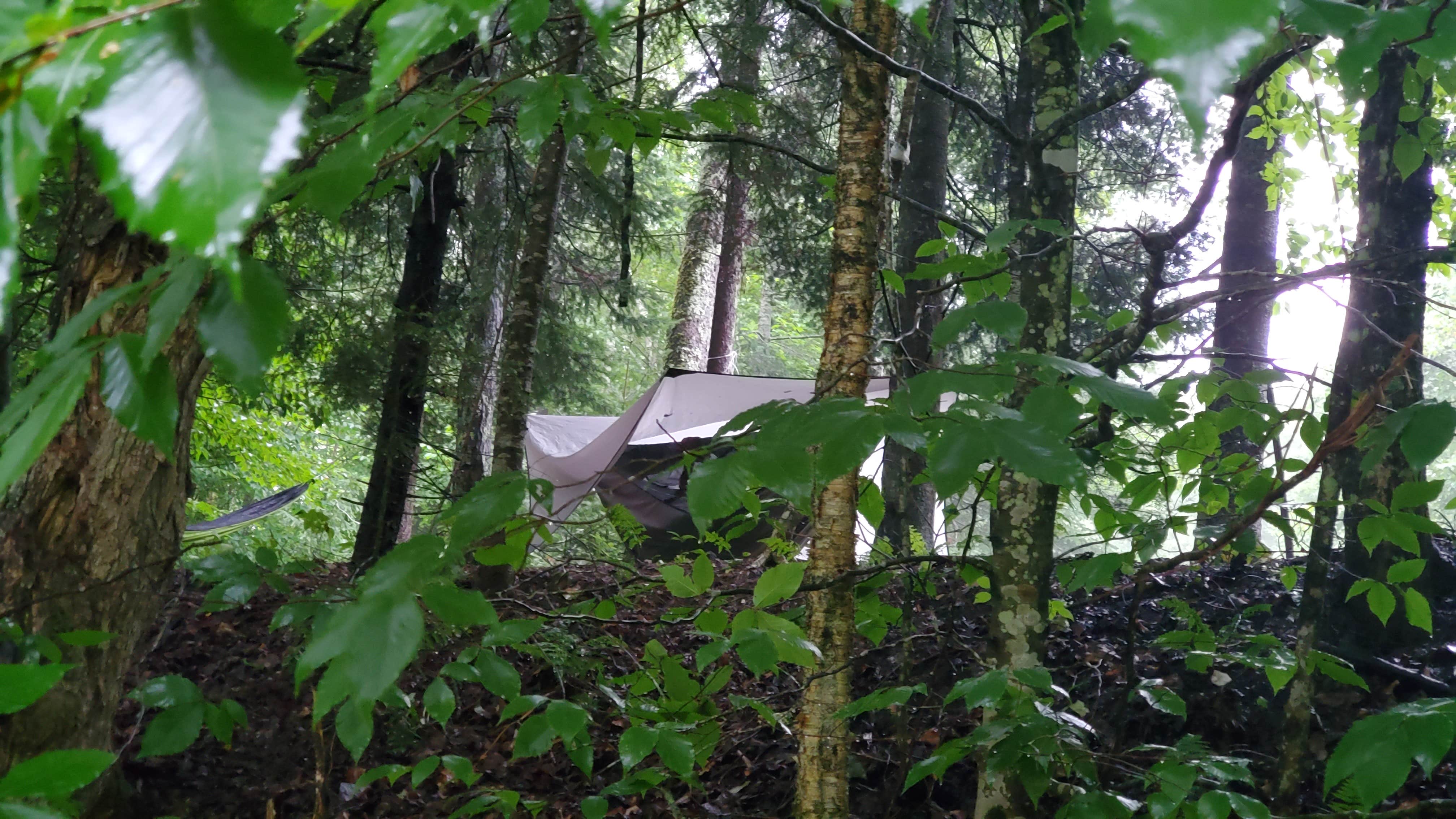 Camper-submitted photo at On the Hill Dispersed Camp near Killington, VT