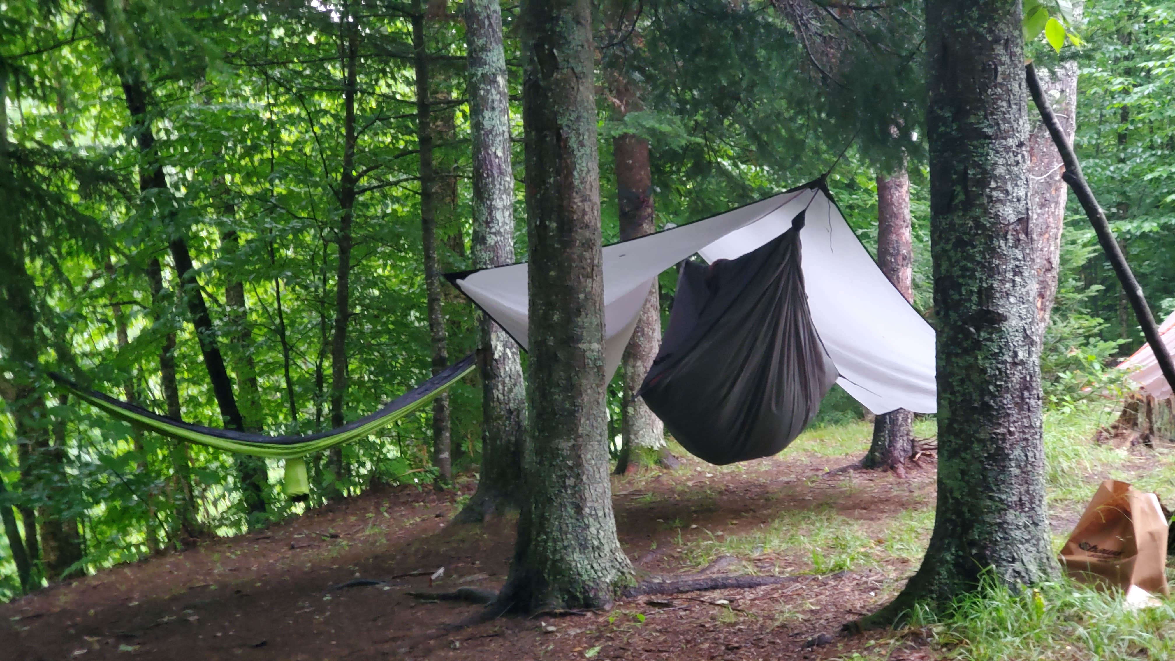 Camping near Michigan Brook Road Camping - Green Mtn Ntnl Forest: On the Hill Dispersed Camp, Pittsfield, Vermont