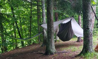 Camping near Stony Brook Backcountry Shelter on the AT in Vermont — Appalachian National Scenic Trail: On the Hill Dispersed Camp, Pittsfield, Vermont