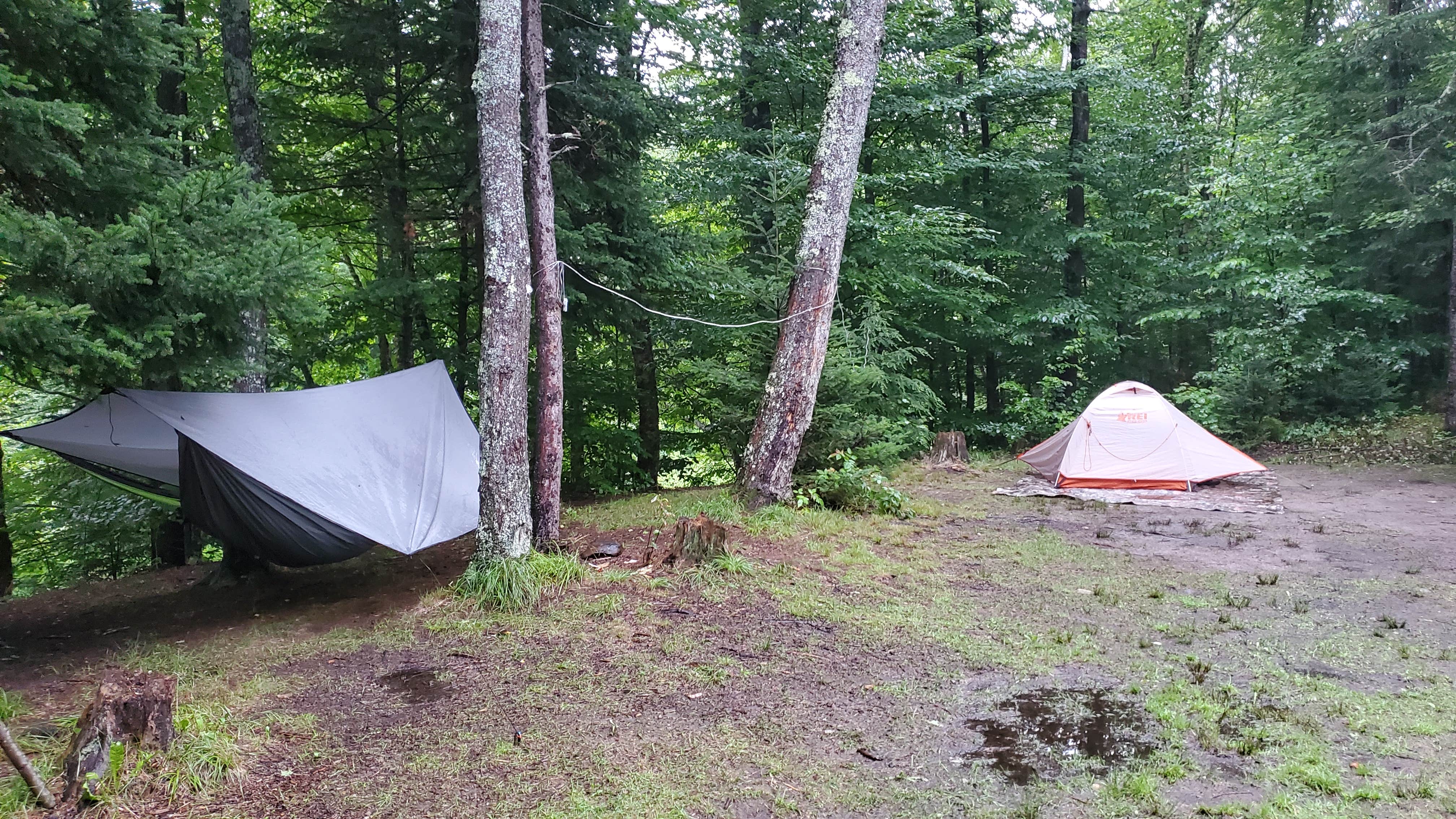 Camper-submitted photo at On the Hill Dispersed Camp near Killington, VT