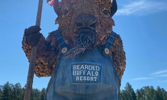 Camping near Fort Welikit Family Campground and RV Park: Bearded Buffalo Resort, Custer, South Dakota