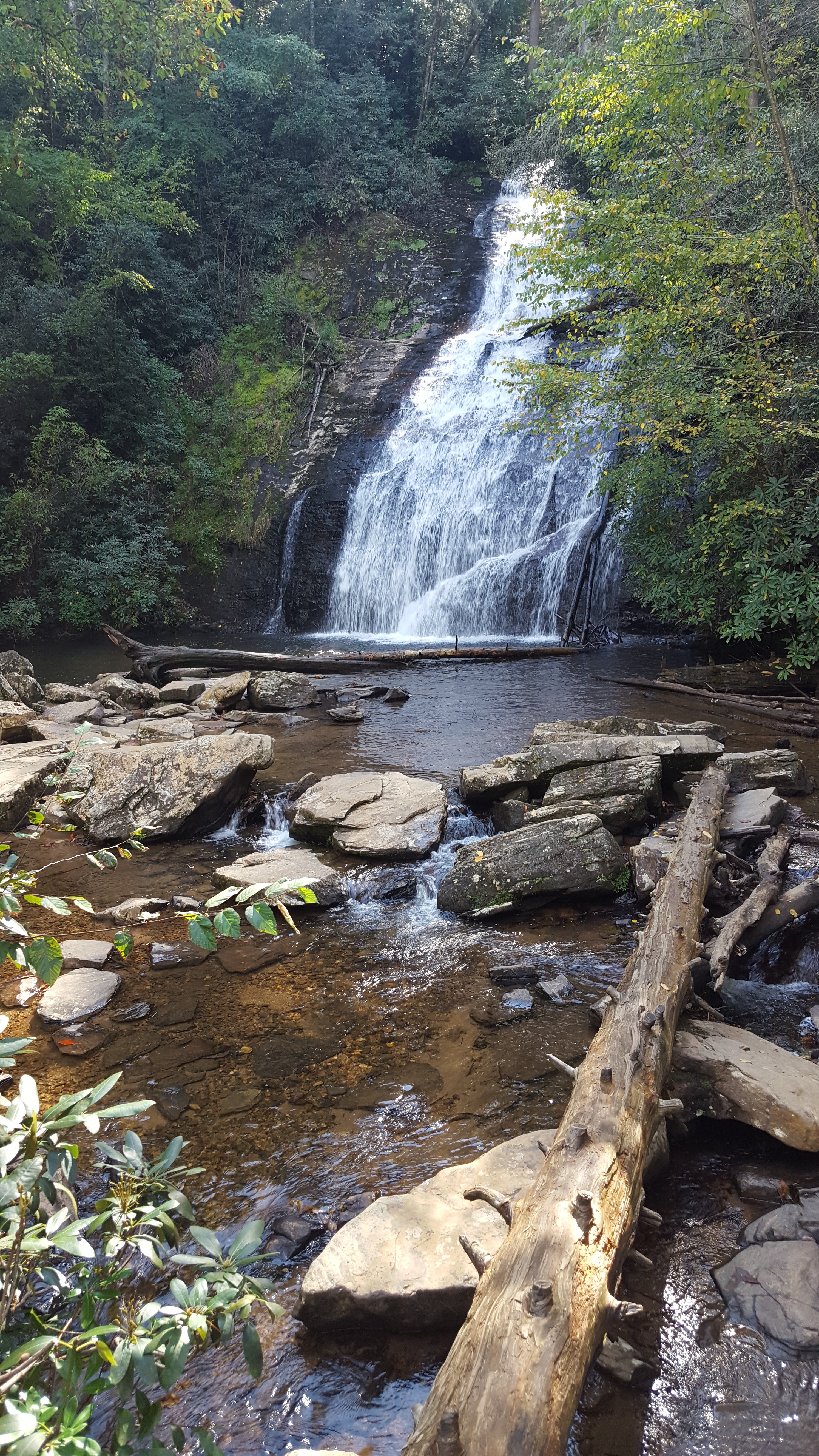 Camper submitted image from Unicoi State Park & Lodge - 1