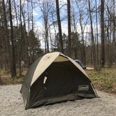 Review photo of Chattahoochee Bend State Park Campground by Charlotte L., December 22, 2018