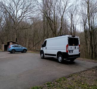 Camper-submitted photo from Dorr-Run Red Oak Trailhead