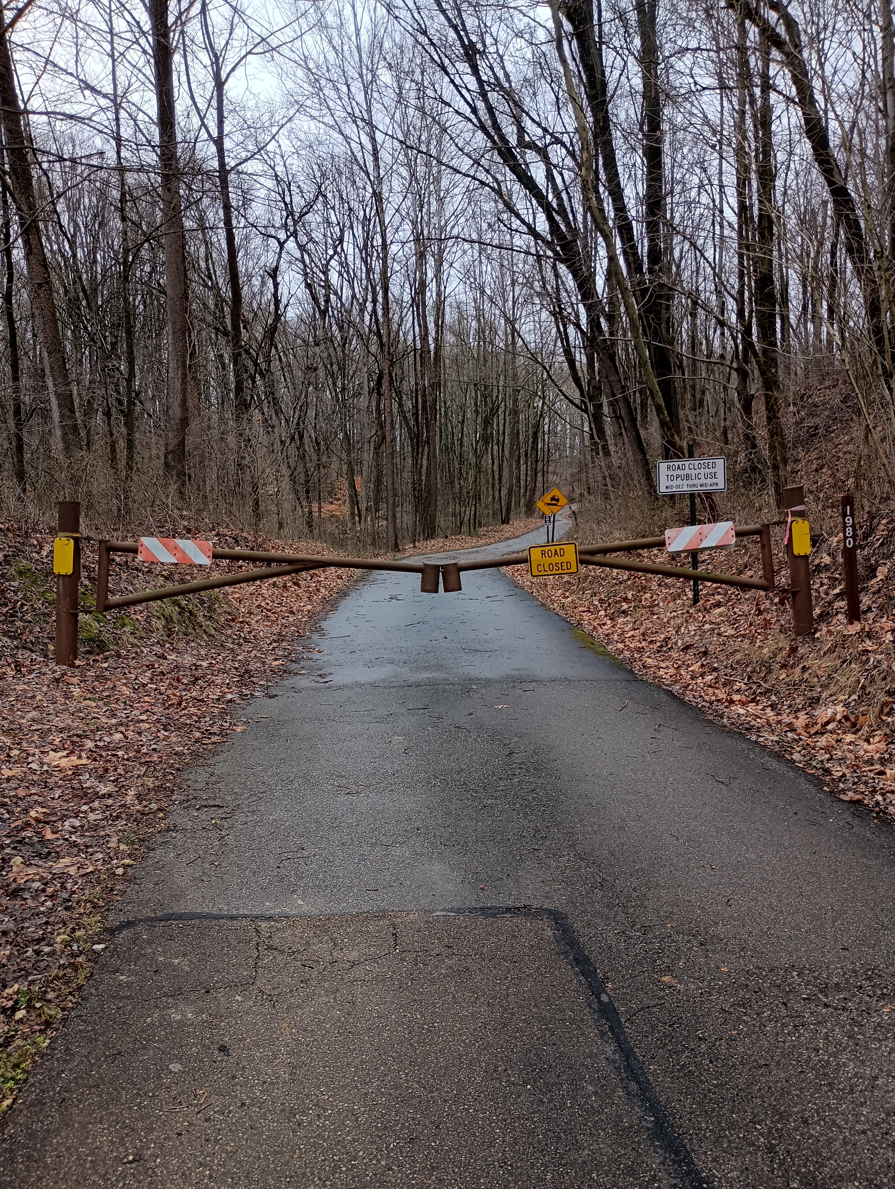 Camper submitted image from Dorr-Run Red Oak Trailhead - 4