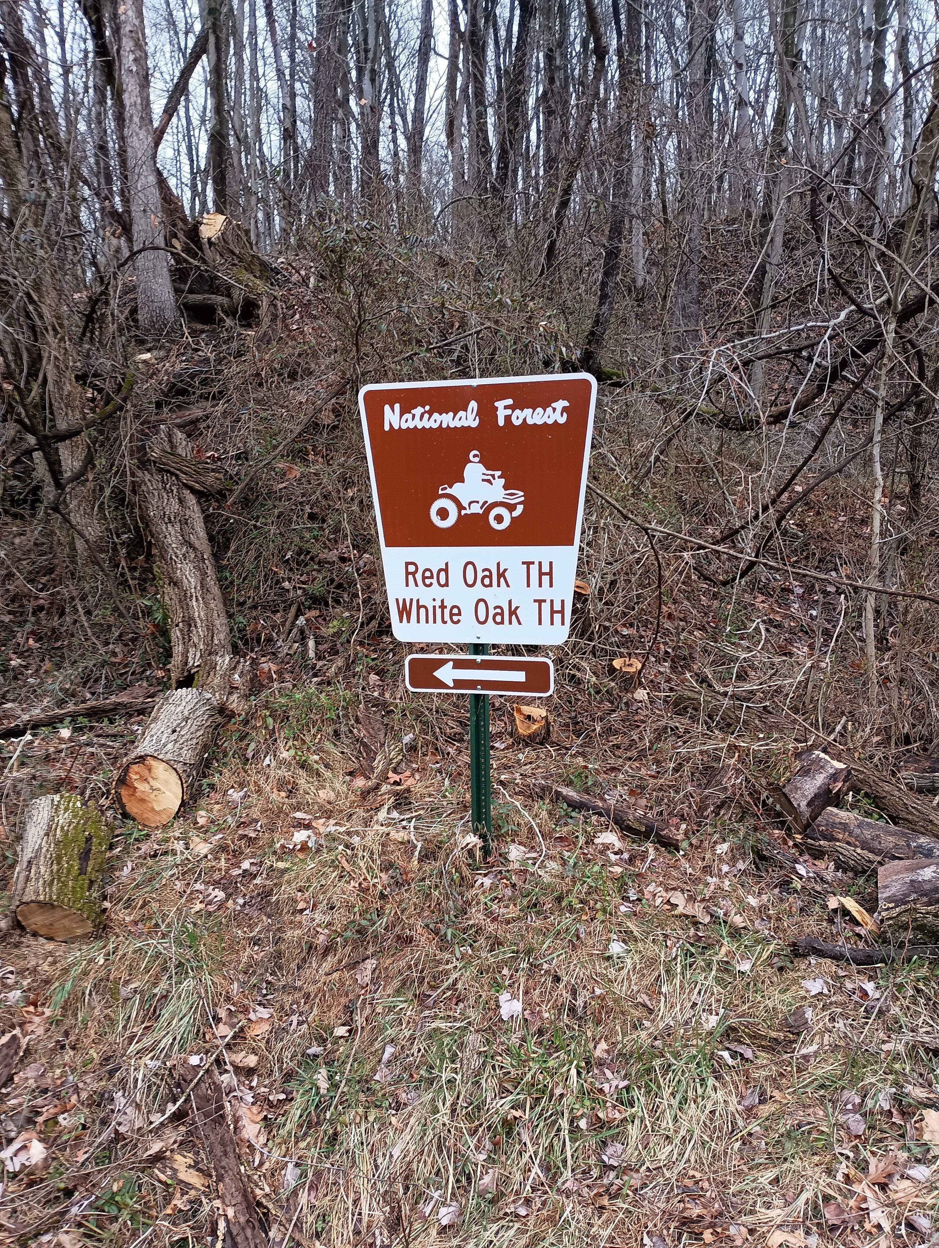 Camper submitted image from Dorr-Run Red Oak Trailhead - 3