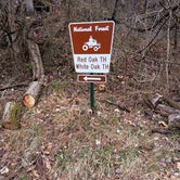 Review photo of Dorr-Run Red Oak Trailhead by Doug H., March 2, 2024