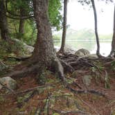 Review photo of Schoodic Woods Campground — Acadia National Park by Dennis A., December 23, 2018