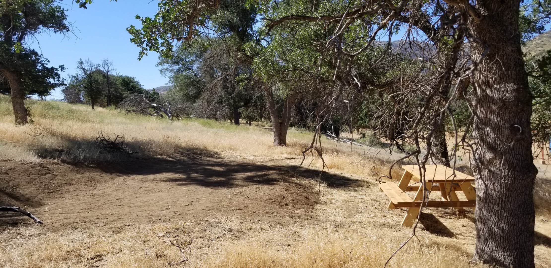 Camper-submitted photo at A Unique Mountain Retreat near Bear Valley Springs, CA