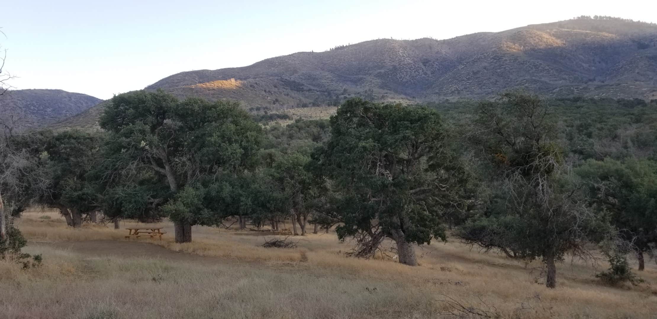 Camper-submitted photo at A Unique Mountain Retreat near Bear Valley Springs, CA
