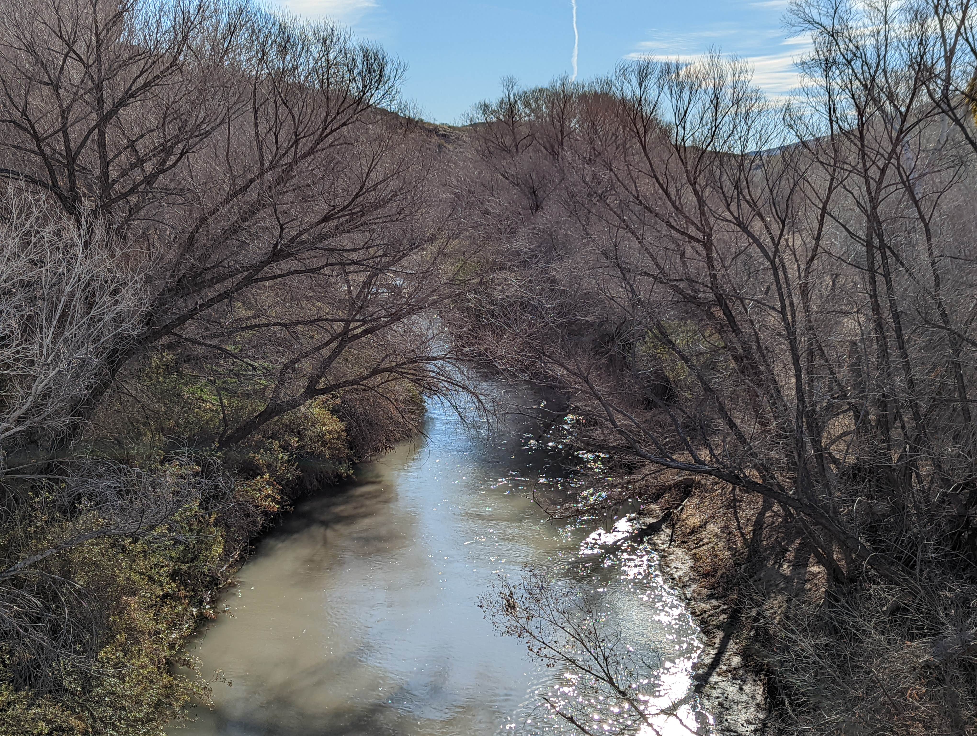 Camper-submitted photo at Owl Creek Campground near Blue, AZ