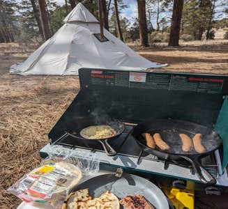 Camper-submitted photo from Celebration Well Dispersed Camping