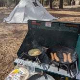 Review photo of Celebration Well Dispersed Camping by Jorge G., March 4, 2024