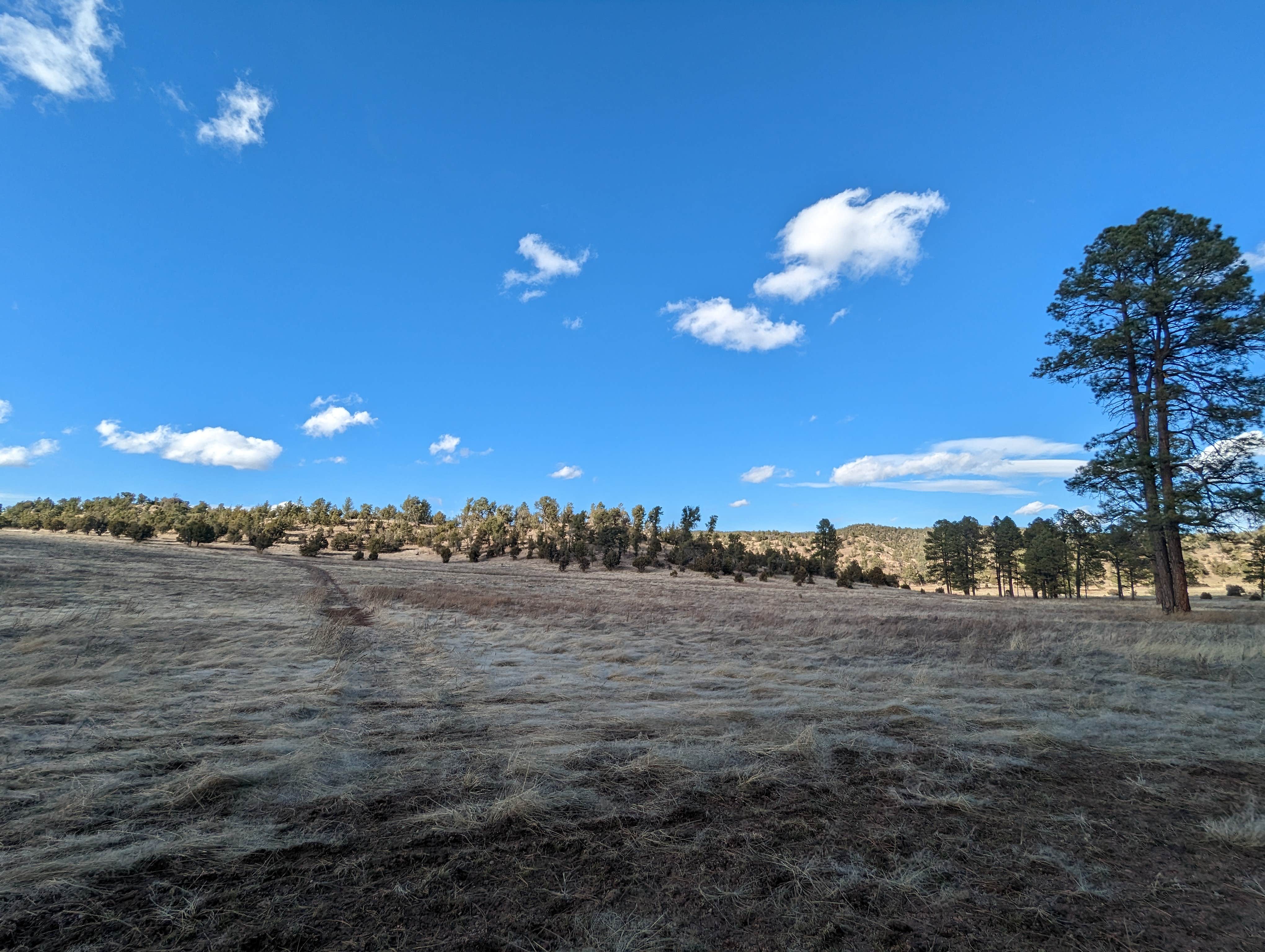 Camping near Upper End Campground: Comfort Well Dispersed Camping, Hanover, New Mexico