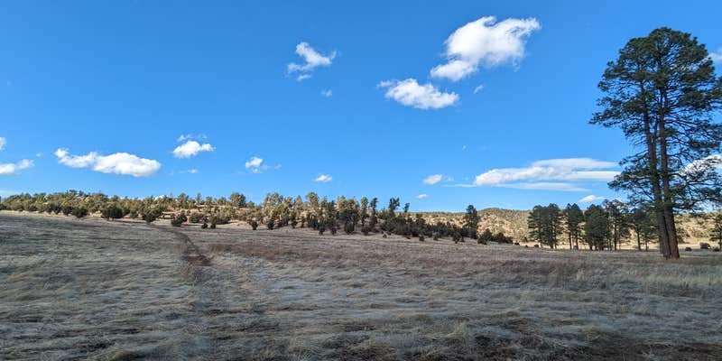 Camper submitted image from Comfort Well Dispersed Camping