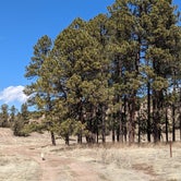 Review photo of Celebration Well Dispersed Camping by Jorge G., March 4, 2024