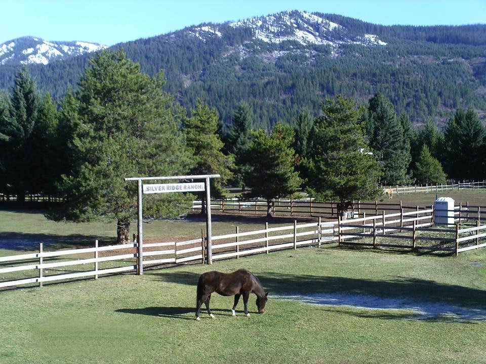 Silver R.'s photo of camping with a horse at Silver Ridge Ranch near Packwood, WA
