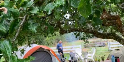 Camper submitted image from Beautiful Creekside