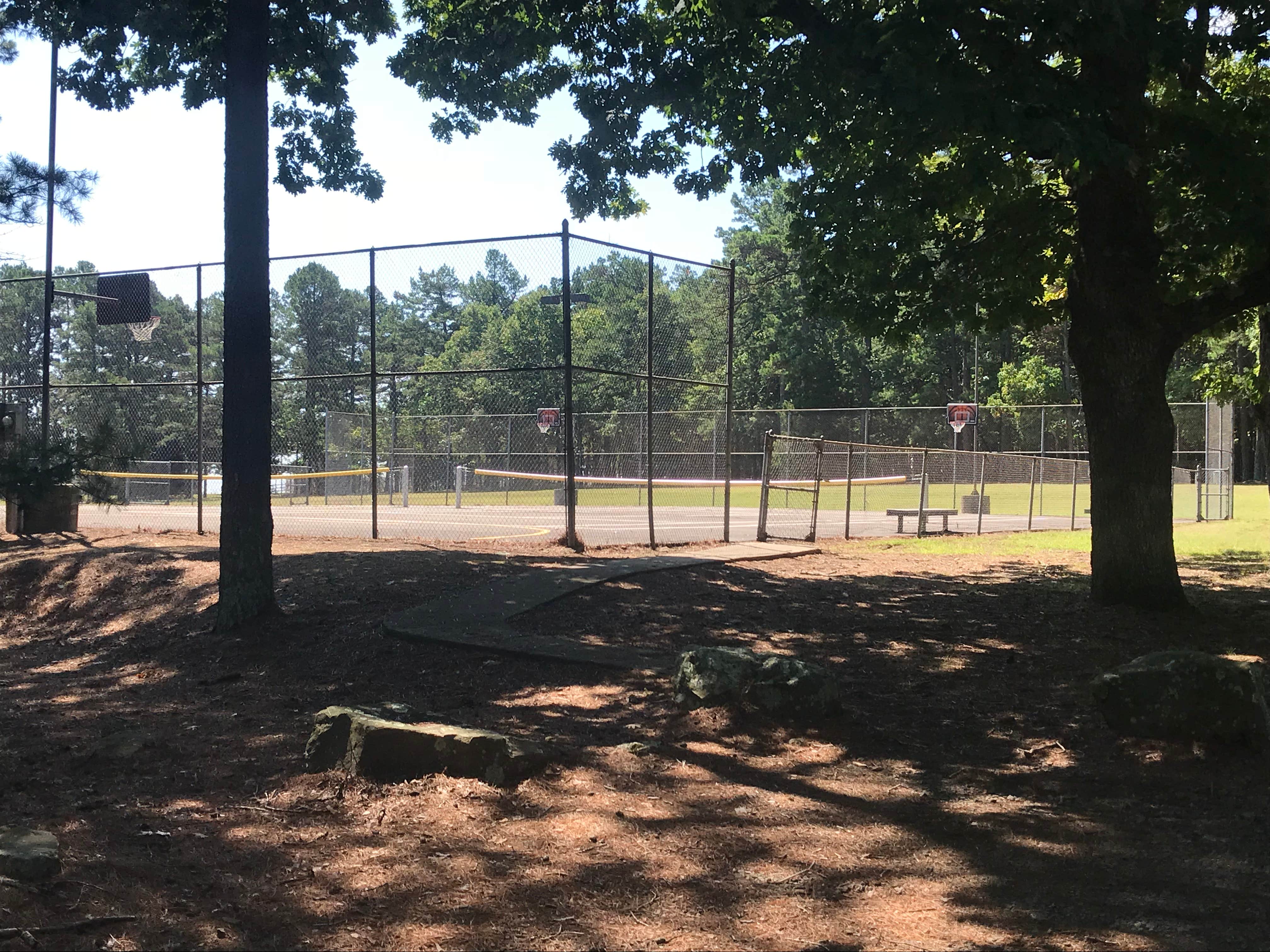 Camper submitted image from Mount Nebo State Park Campground - 3