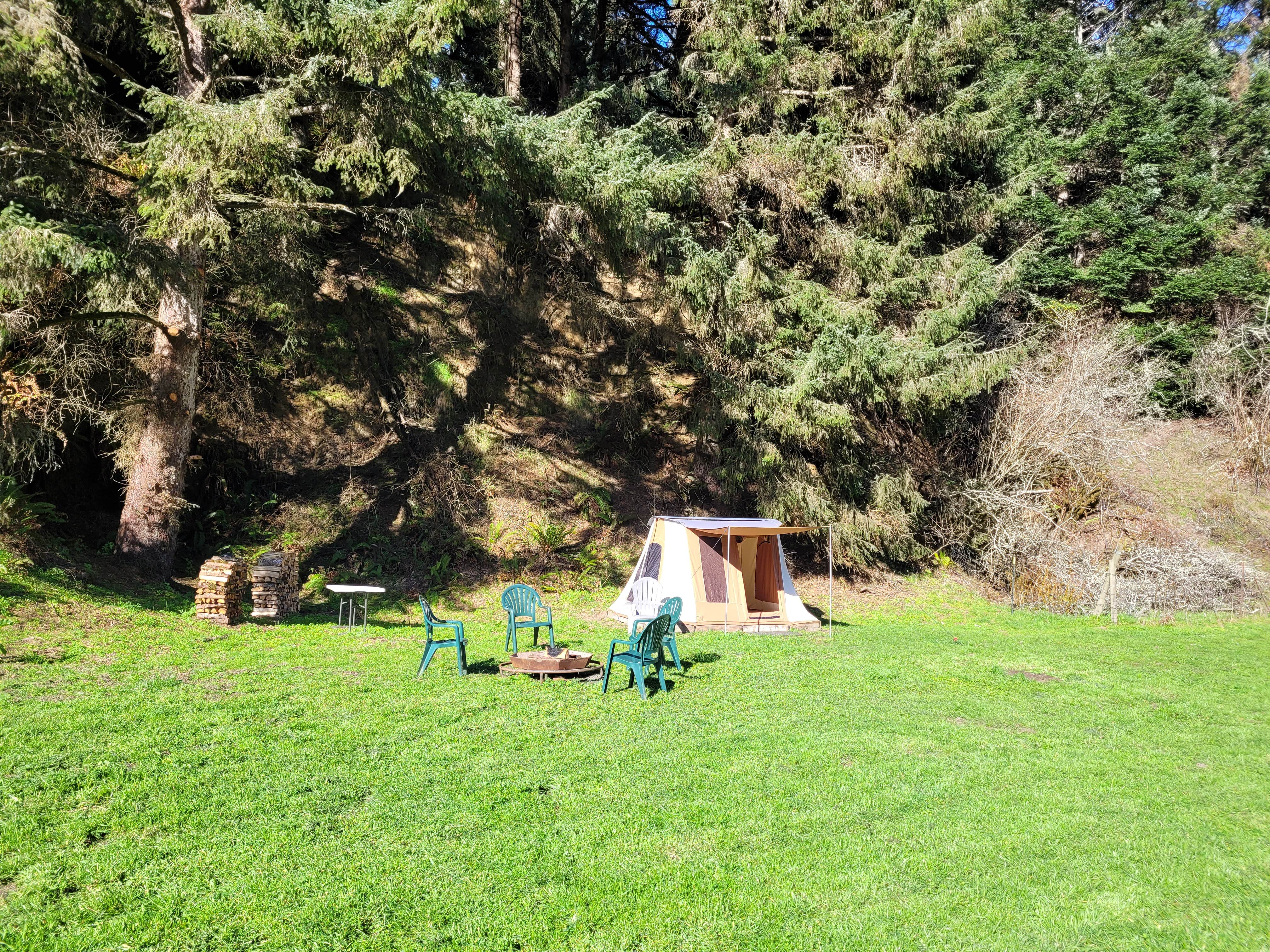 Camper-submitted photo at Wuss Camp near Ferndale, CA