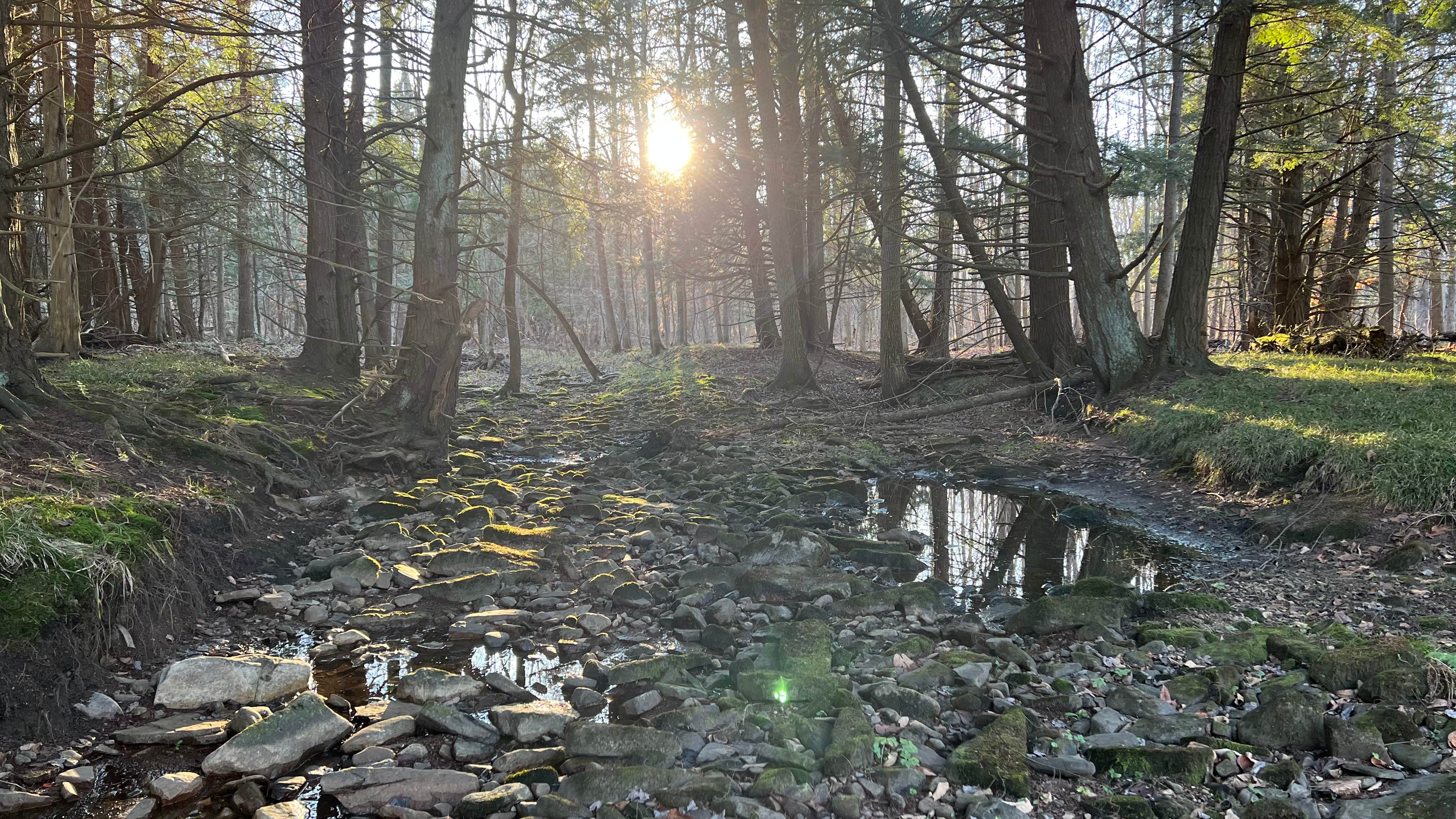 Camper-submitted photo at Someday Happens River Retreat near Dannemora, NY