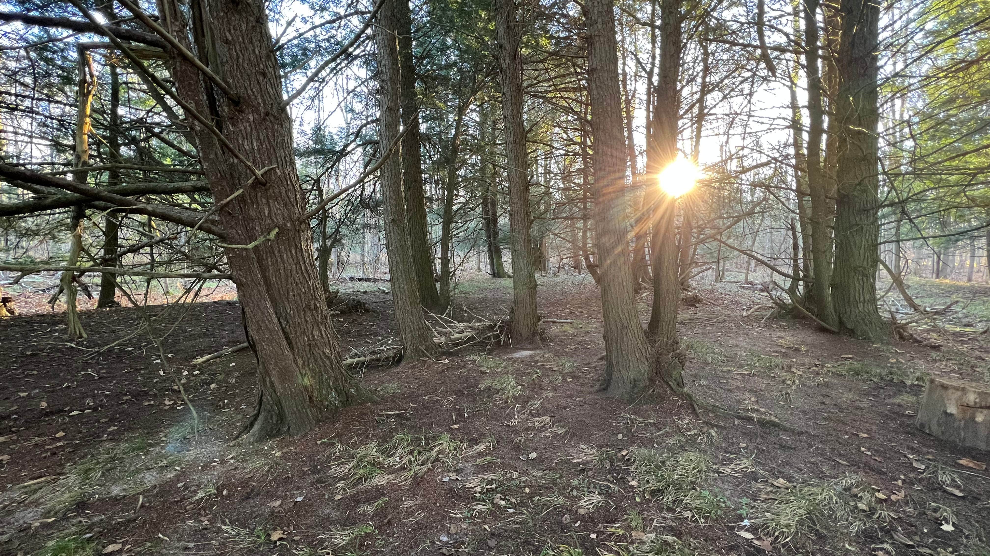 Camper-submitted photo at Someday Happens River Retreat near Dannemora, NY