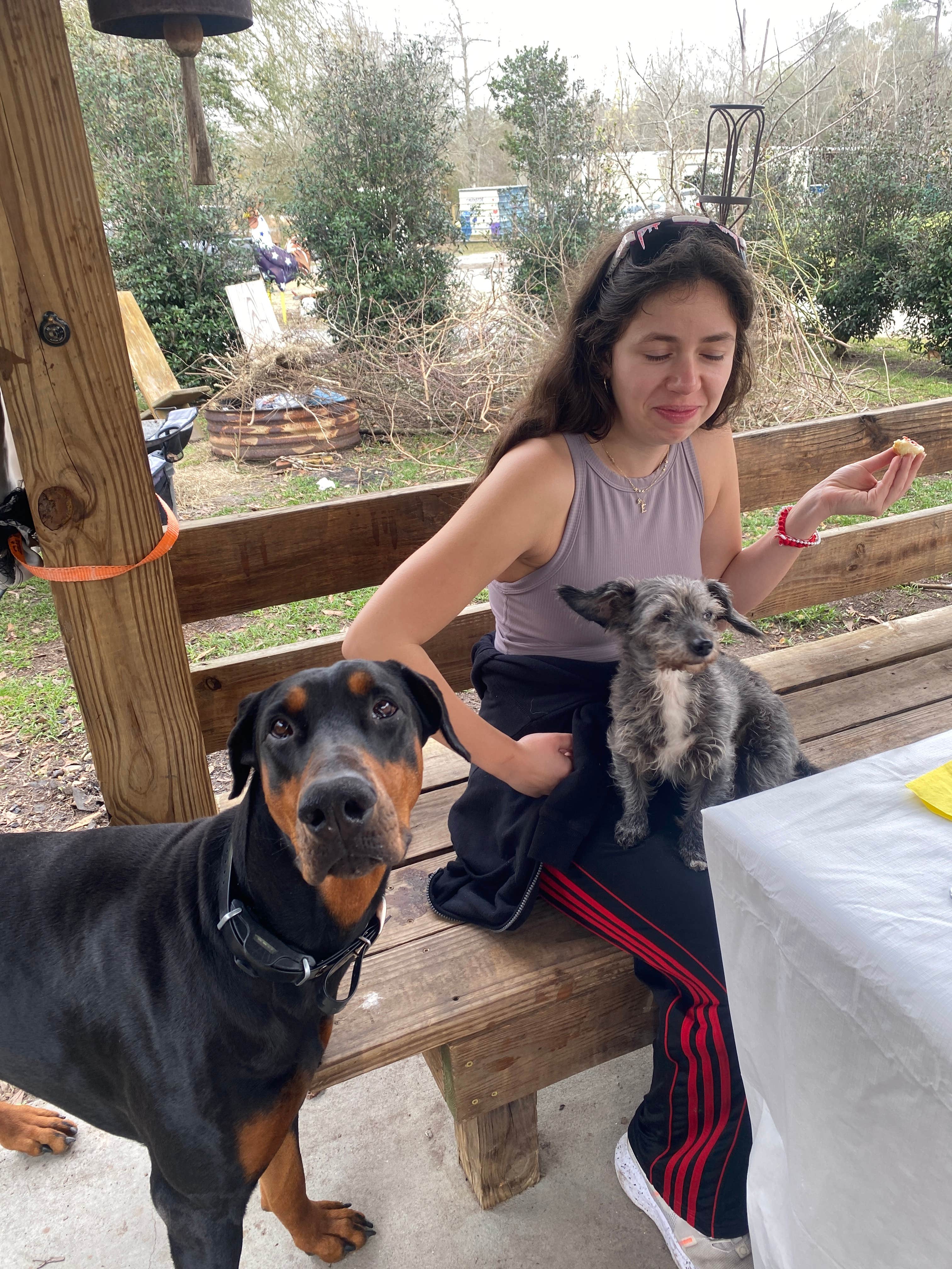 Emily T.'s photo of camping with pets at Creekside Farm Co. near Picayune, MS