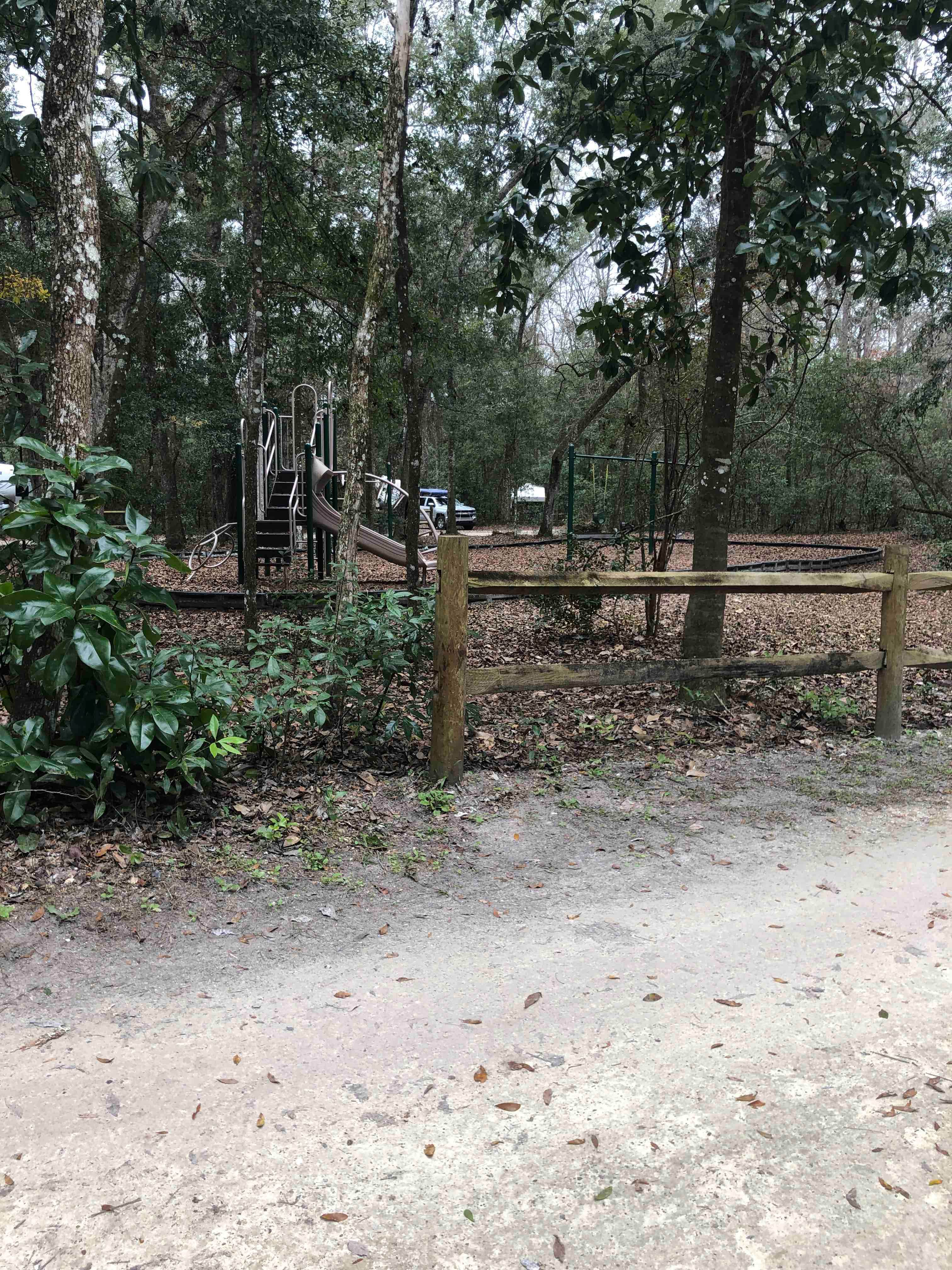 Camper submitted image from Magnolia Campground — O'Leno State Park - 2