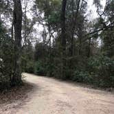 Review photo of Magnolia Campground — O'Leno State Park by Mandy R., December 28, 2018