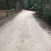 Review photo of O'Leno State Park Campground by Mandy R., December 28, 2018