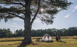 Tim H.'s photo at HOGAN'S LANDING near Alplaus, NY