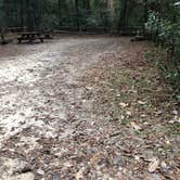 Review photo of Magnolia Campground — O'Leno State Park by Mandy R., December 28, 2018