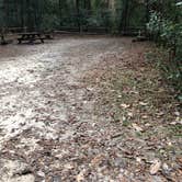 Review photo of O'Leno State Park Campground by Mandy R., December 28, 2018