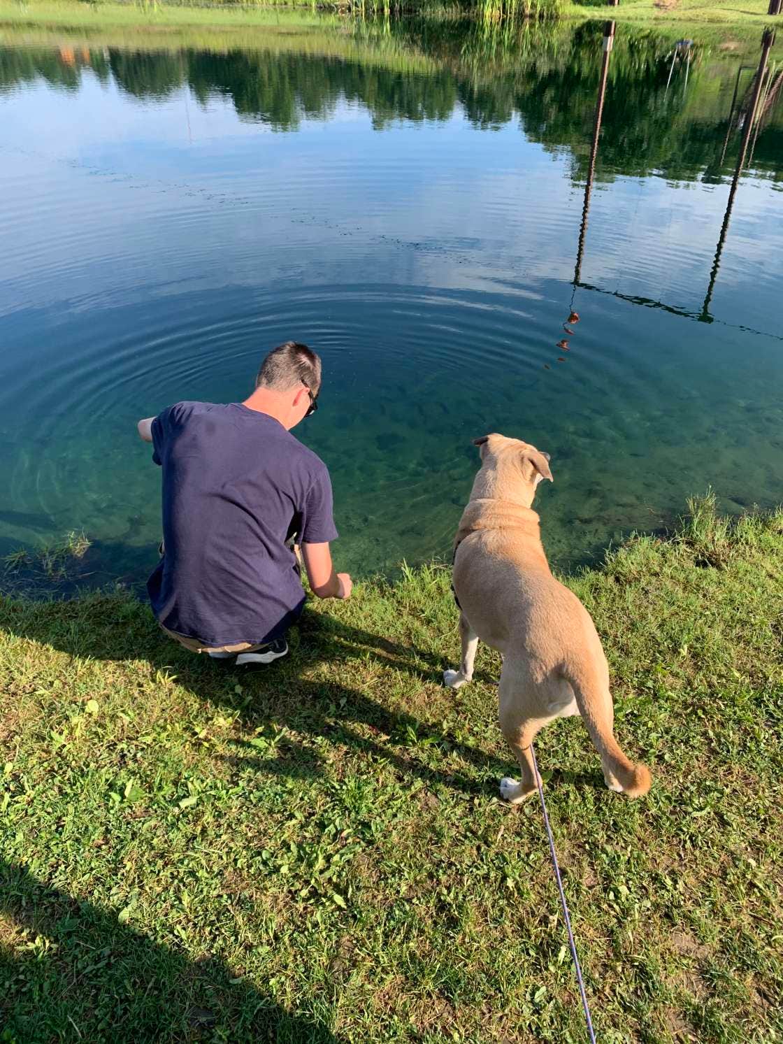 Tim H.'s photo of camping with pets at HOGAN'S LANDING near Albany, NY