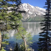 Review photo of Jenny Lake Campground — Grand Teton National Park by Stefani R., December 28, 2018