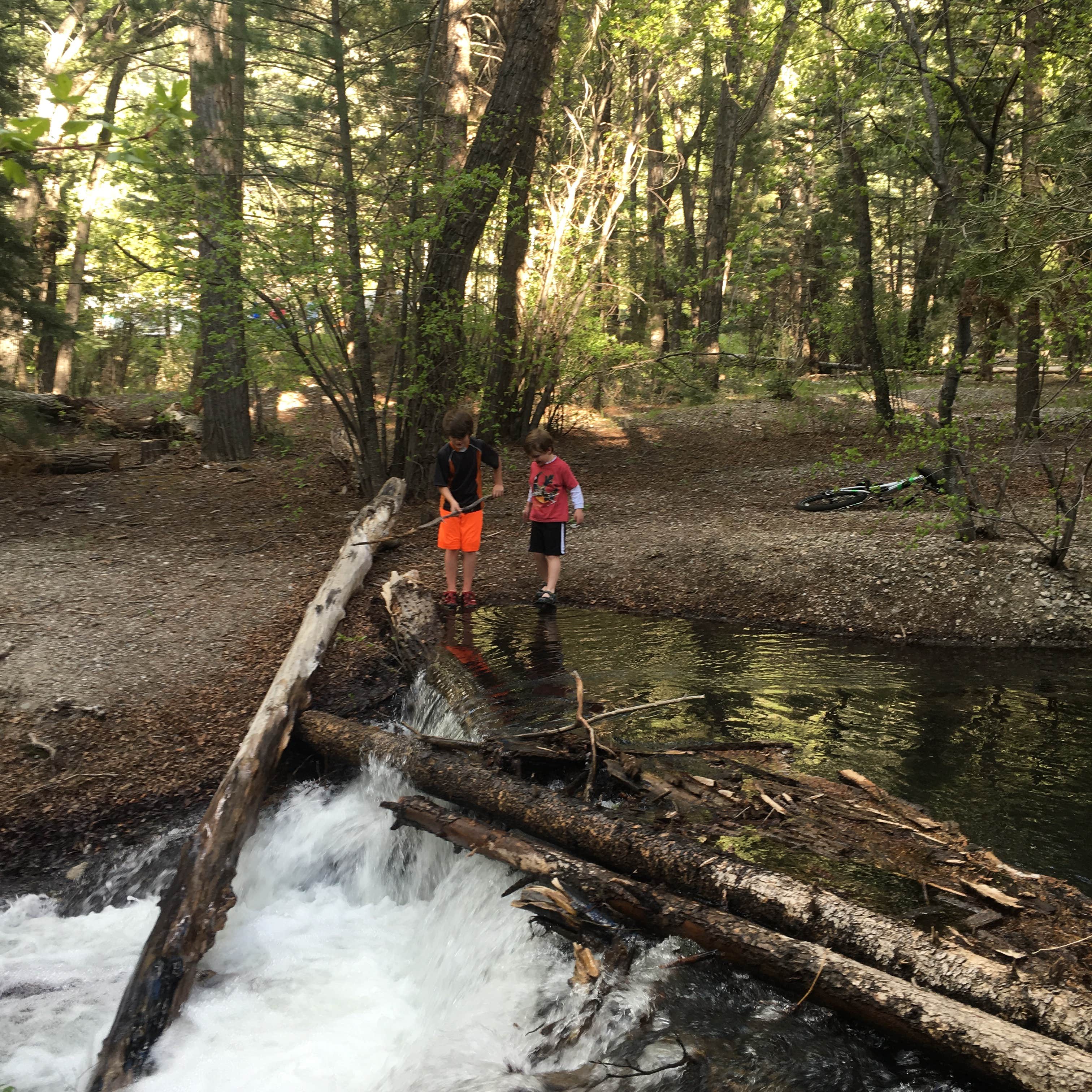 Escape to the Mountains: Your Guide to Colorado's Columbine Campground