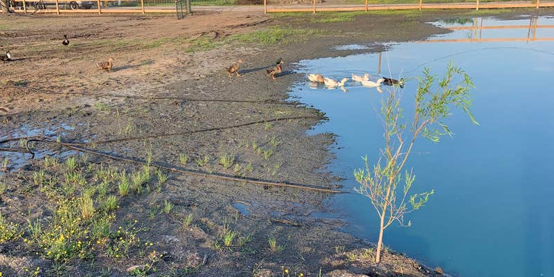 Camper submitted image from Bella Hampton Farm Foundation