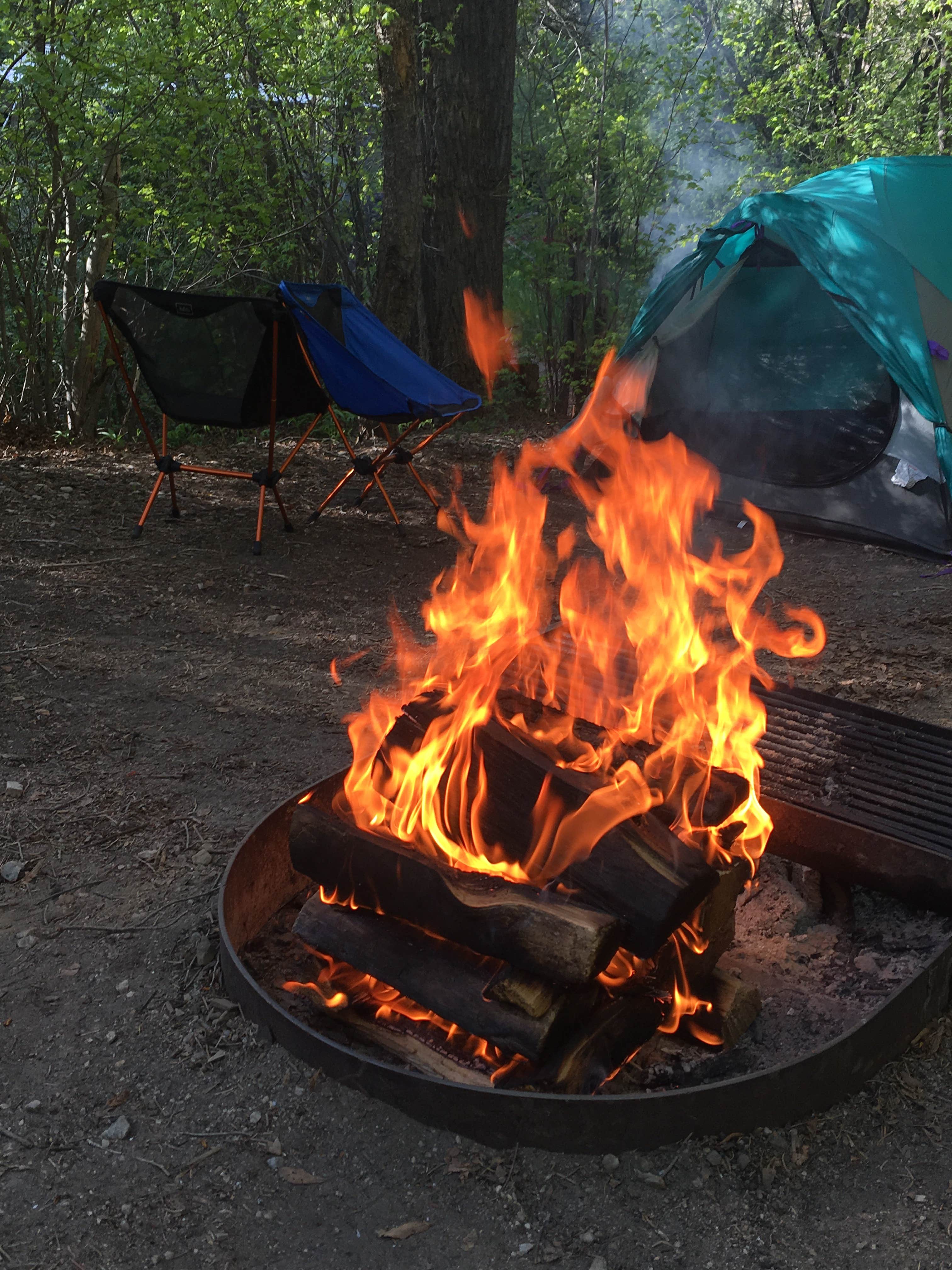 Stefani R.'s photo at Columbine Campground (NM) near Taos Ski Valley, NM