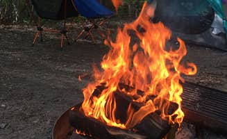 Stefani R.'s photo at Columbine Campground (NM) near Costilla, NM