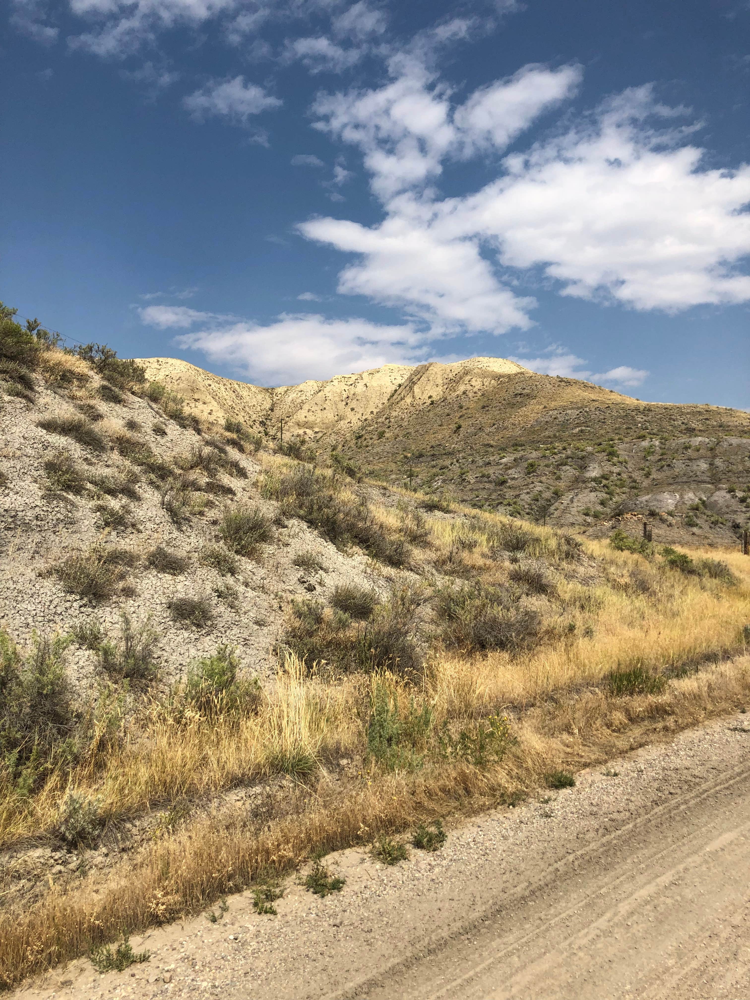 Camper-submitted photo at Williamson Memorial City Park near Sweet Grass, MT