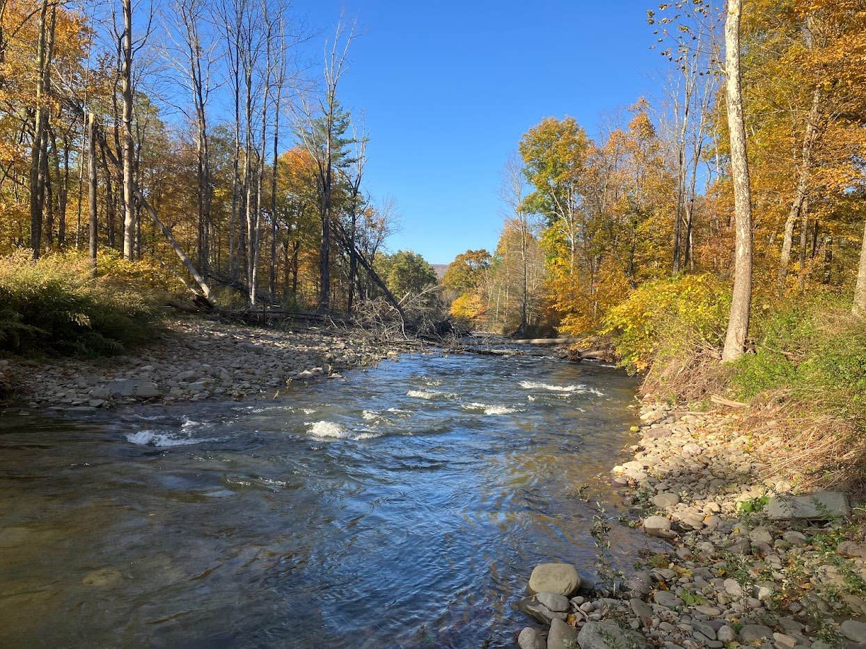 Camper submitted image from Big Indian Wilderness Paradise - 1