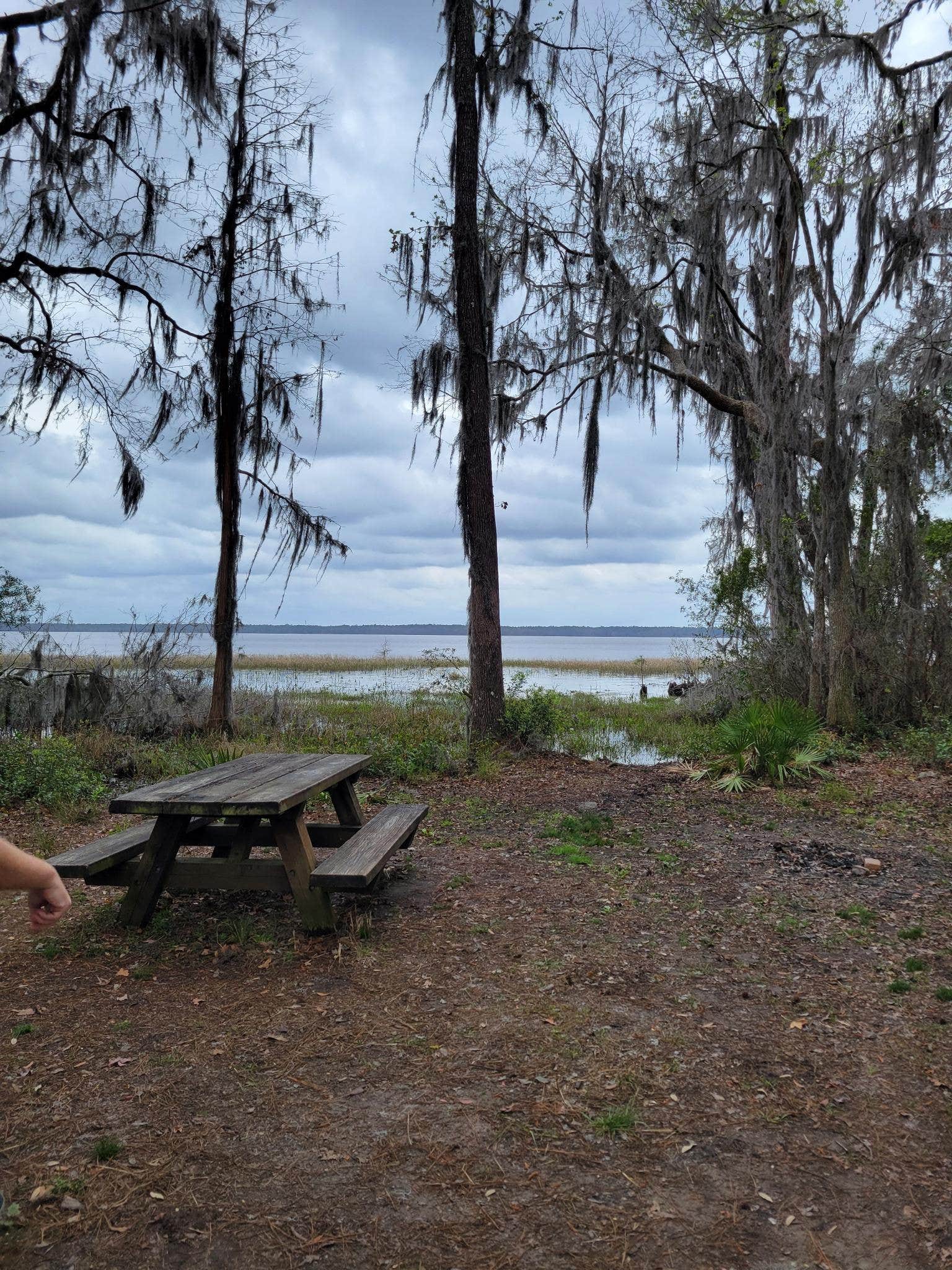 Camper-submitted photo at Hog Pen Landing near Olustee, FL