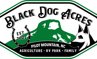 Camping near Love's RV Hookup-Rural Hall NC 883: Black Dog Acres RV Park, Pilot Mountain, North Carolina