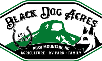 Camping near Chestnut Ridge Farm: Black Dog Acres RV Park, Pilot Mountain, North Carolina