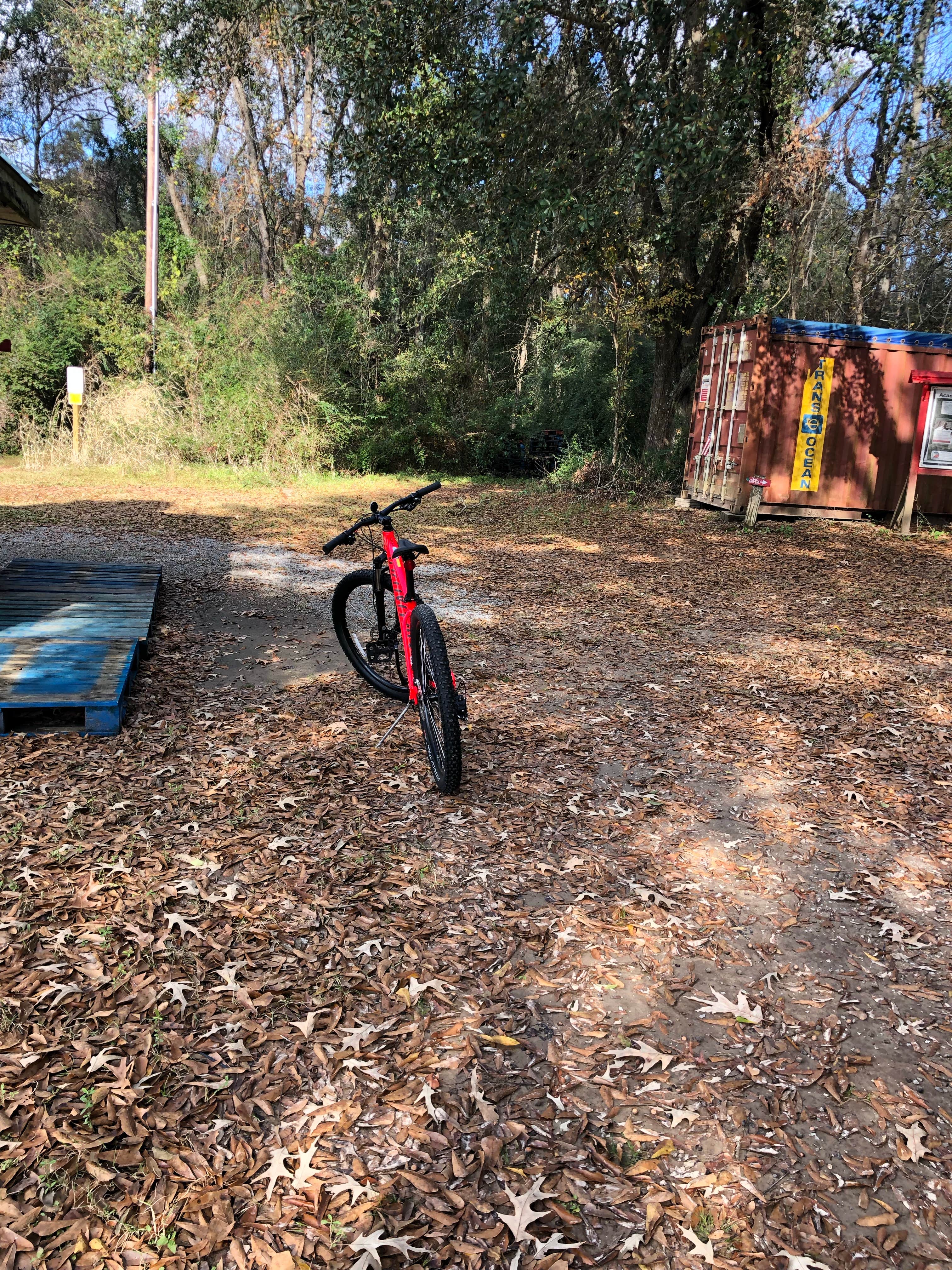 Camper submitted image from Acadiana Park Campground - 2