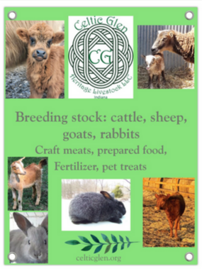 Celtic G.'s photo of camping with pets at Celtic Glen near Dugger, IN