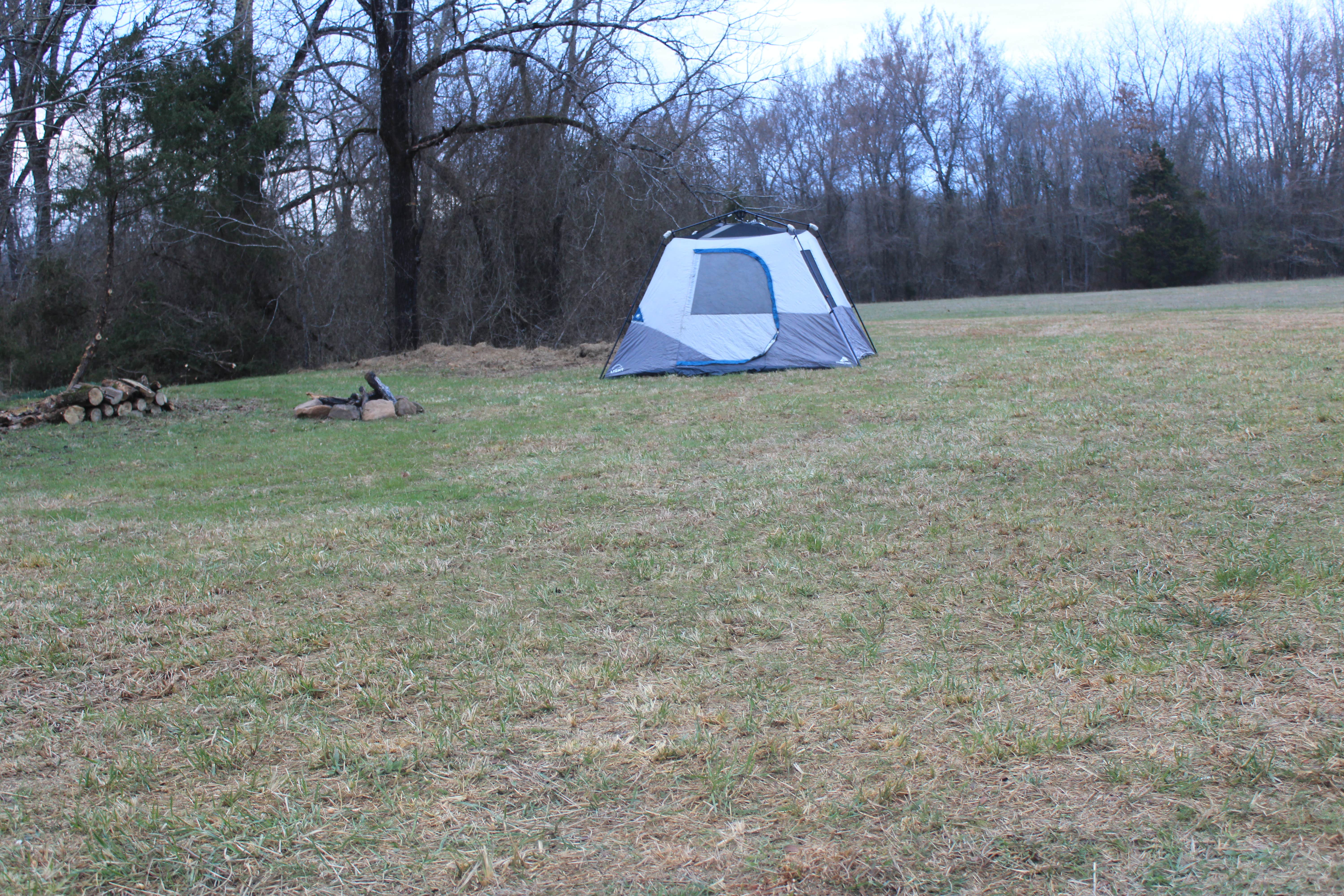 Cheryl B.'s photo at Pleasure Landing near Oden, AR