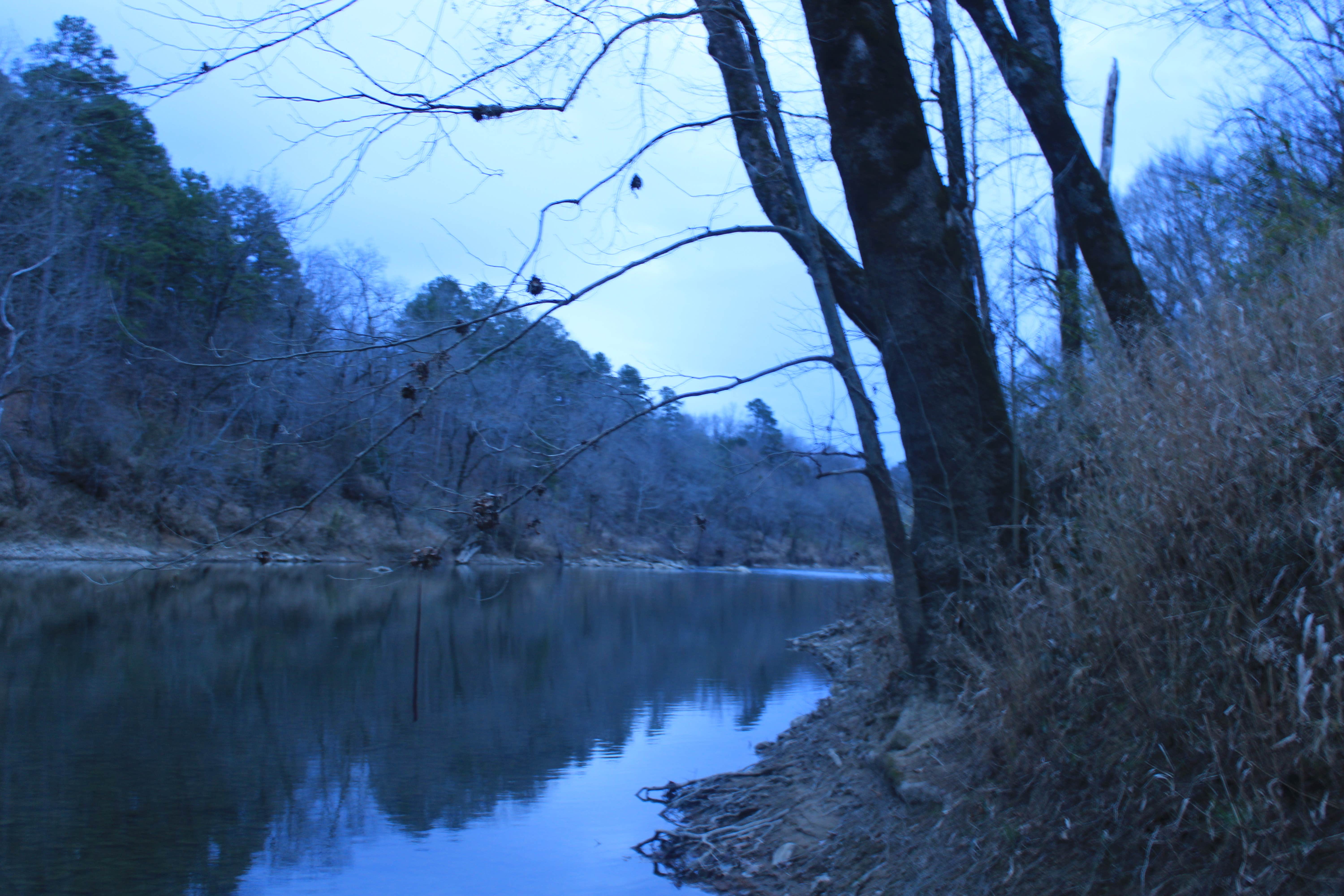 Camping near South Fork Rv and camping: Pleasure Landing, Sims, Arkansas