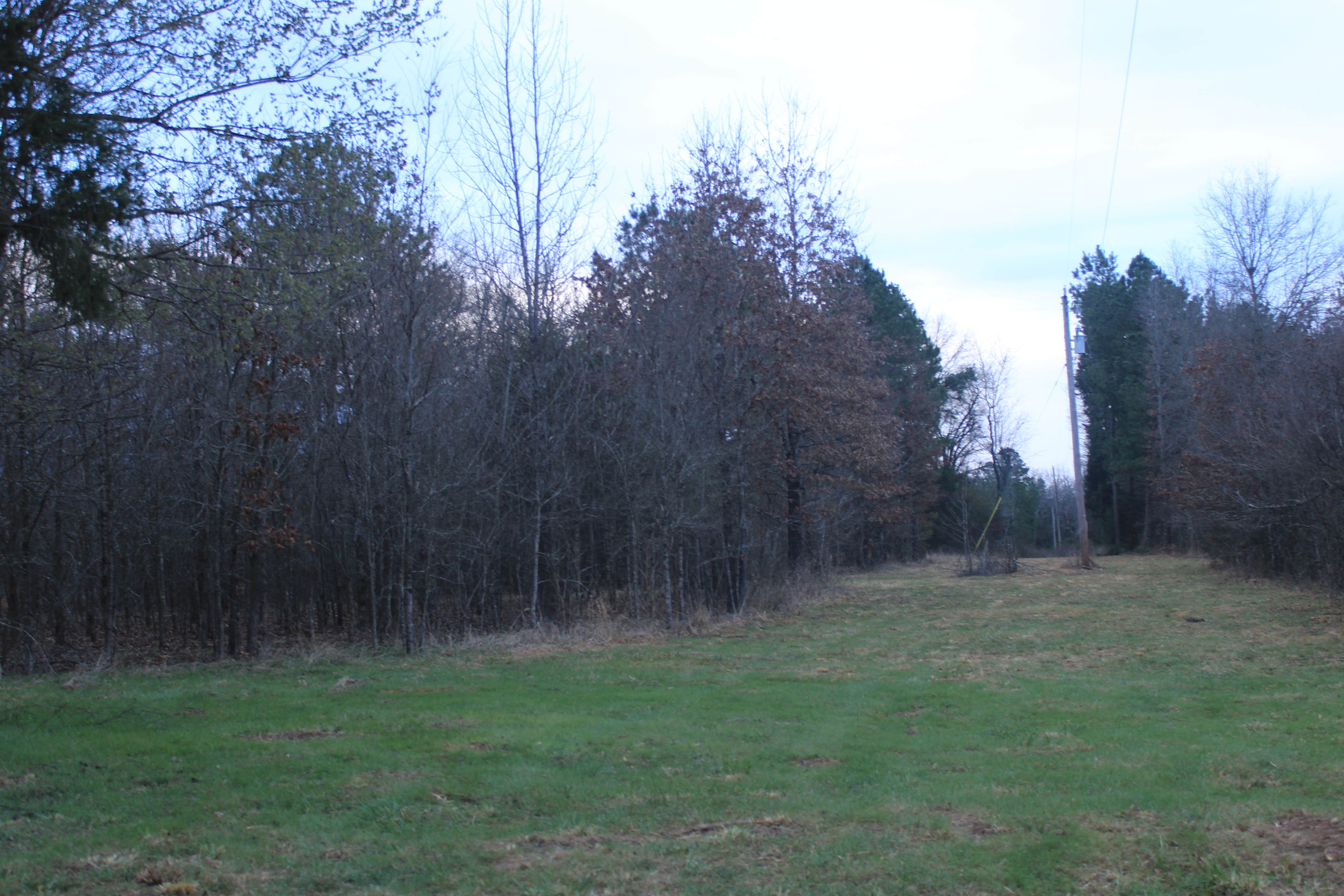 Camper-submitted photo at Pleasure Landing near Sims, AR