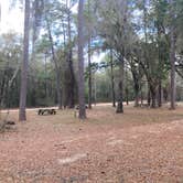 Review photo of High Bluff - Joe Budd WMA and Lake Talquin State Forest by J V., March 8, 2024